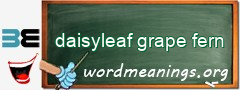 WordMeaning blackboard for daisyleaf grape fern